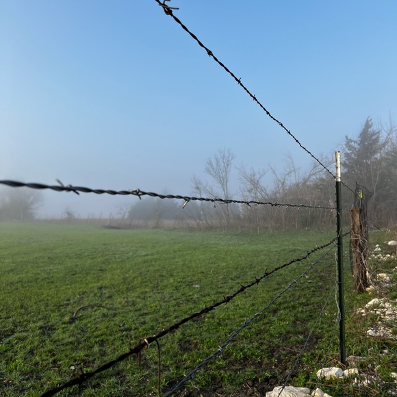 Meet your Posher, L P - Picture 3 of 13